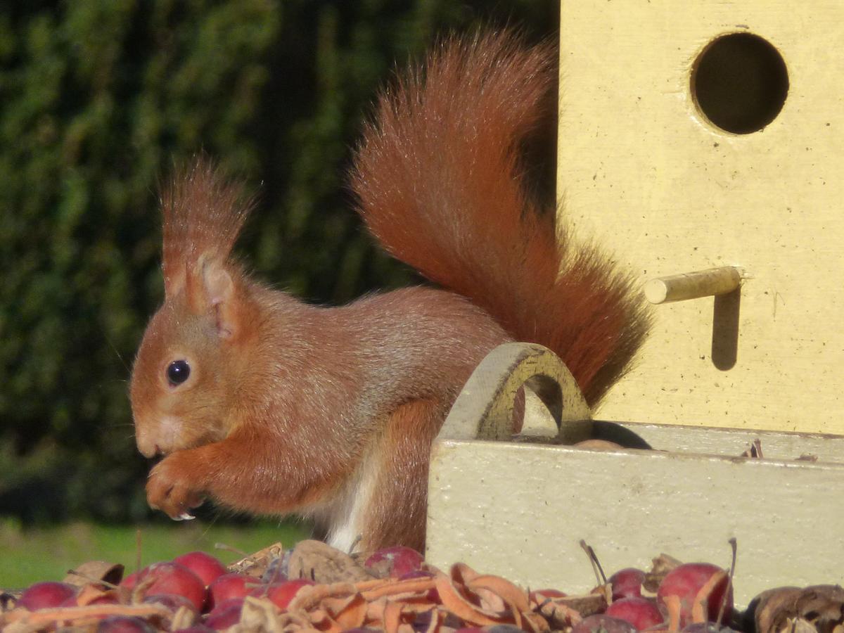 B&B Aan De Burgt Boekel Exteriör bild