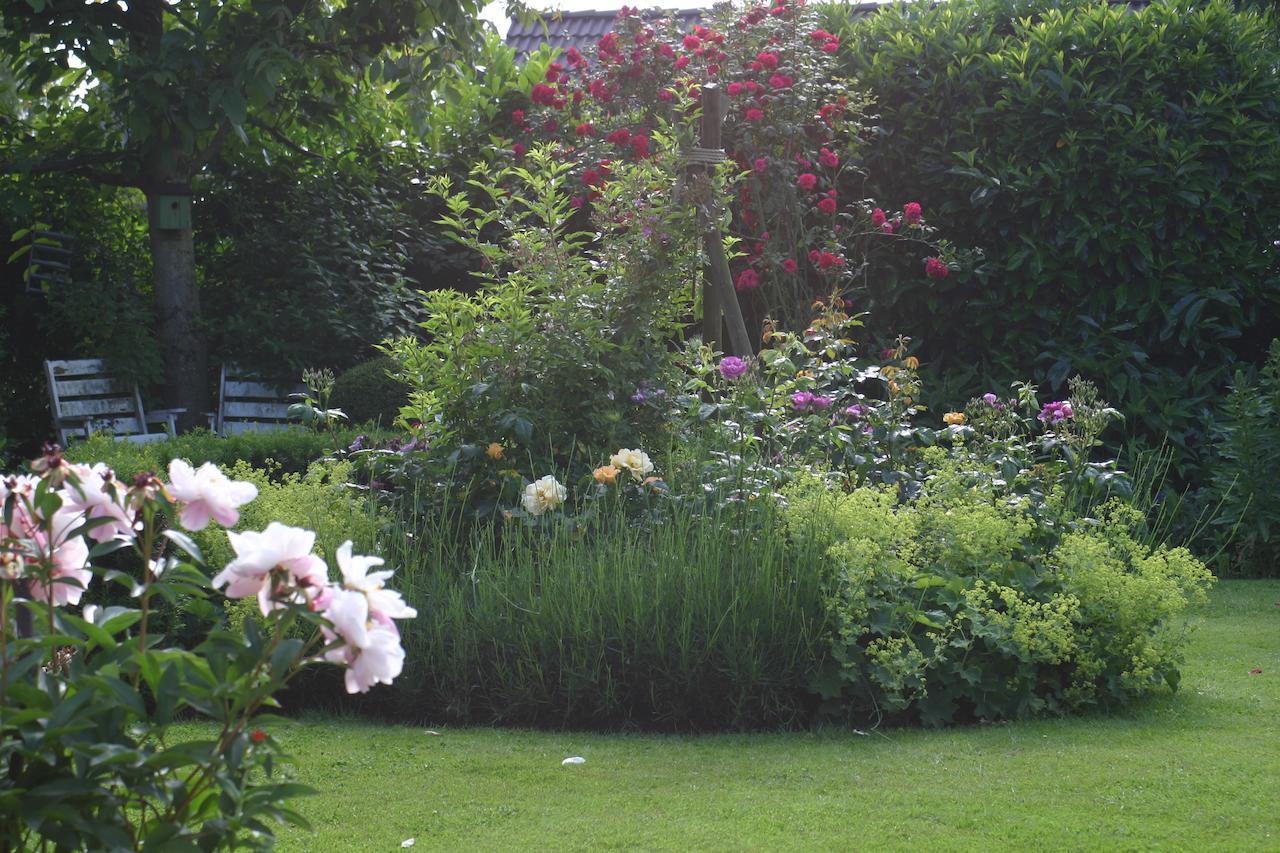 B&B Aan De Burgt Boekel Exteriör bild